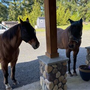 Meet your Posher, Pam